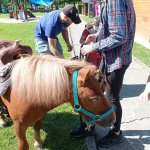 phoca_thumb_m_ponk 23 Fotogalerie
